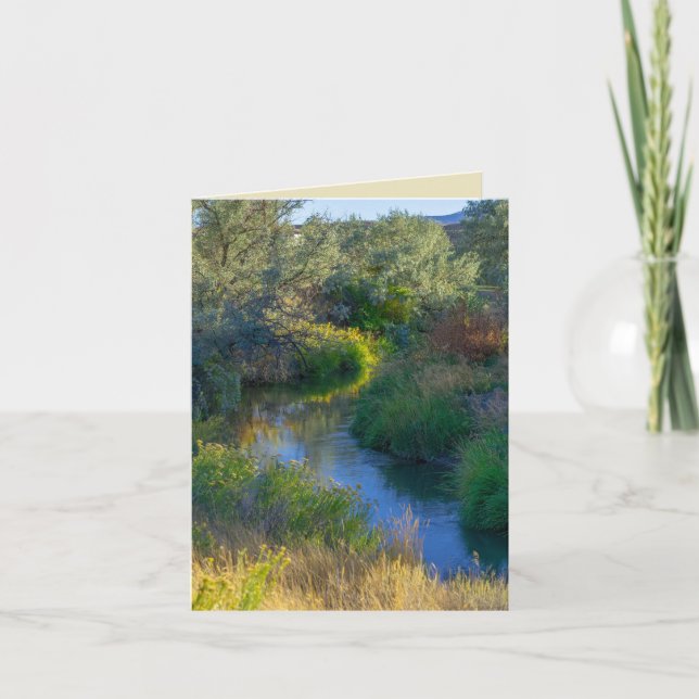 Water flows in the stream like a painting card (Front)