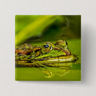 water frog 15 cm square badge