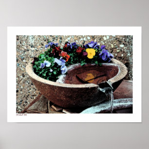Water Garden Poster
