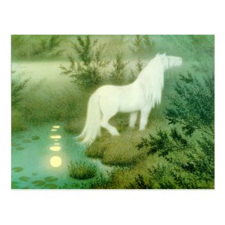 Water Horse Kelpie Artwork Postcard