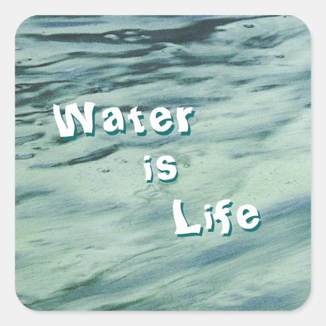Water is Life Stickers (Front)