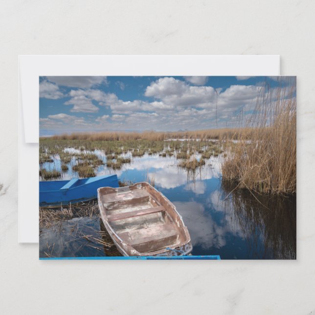 Water | Kayseri Turkey Thank You Card (Front)