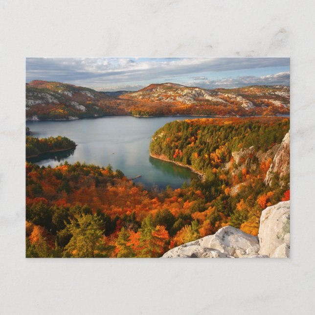 Water | Killarney Provincial Park Canada Postcard (Front)