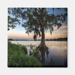 Water Kraft Azalea Park Maitland Florida Magnet