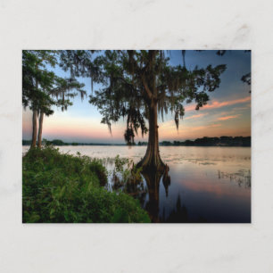 Water   Kraft Azalea Park Maitland Florida Postcard