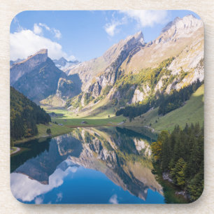 Water   Lake Alpsee Switzerland Coaster