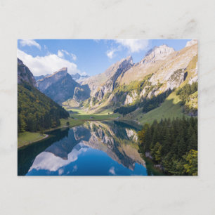 Water Lake Alpsee Switzerland Postcard