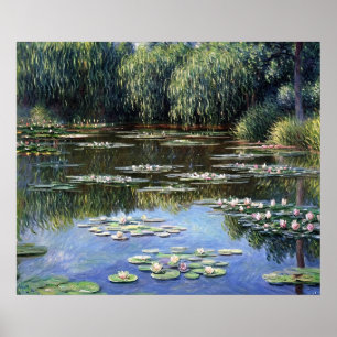 Water Lilies (2) Poster