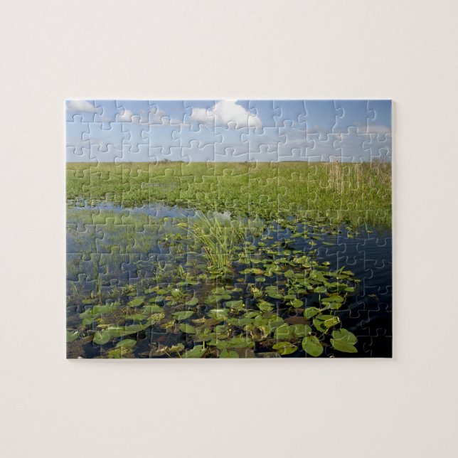 Water lilies and sawgrass in Florida everglades Jigsaw Puzzle (Horizontal)