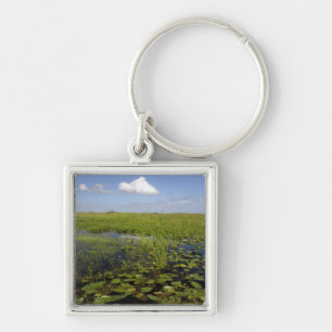 Water lilies and sawgrass in Florida everglades Key Ring