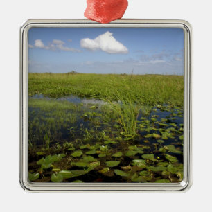 Water lilies and sawgrass in Florida everglades Metal Tree Decoration