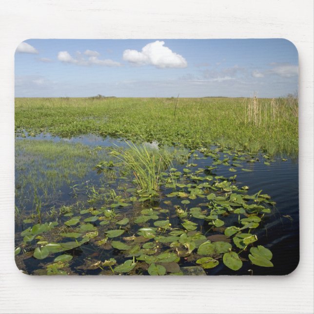 Water lilies and sawgrass in Florida everglades Mouse Mat (Front)