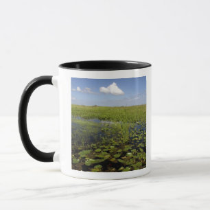 Water lilies and sawgrass in Florida everglades Mug