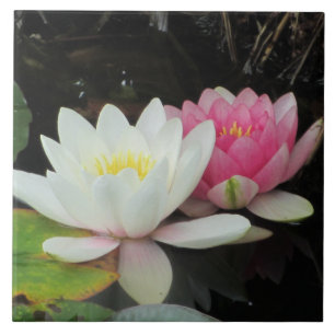 WATER LILIES by SHARON SHARPE Tile