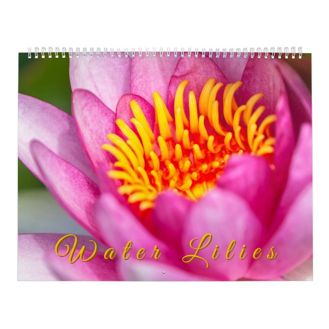 Water Lilies  Calendar (Cover)
