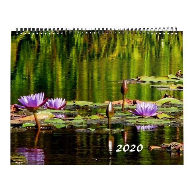Water Lilies Calendar 2020 (Cover)