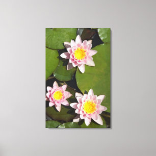 Water lilies canvas print