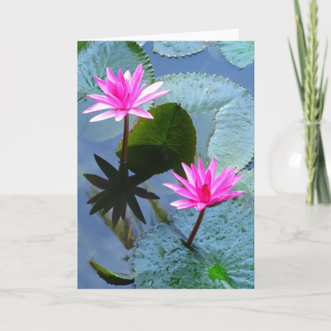 Water Lilies Card (Front)