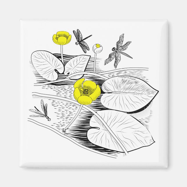 Water lilies engraving magnet (Front)