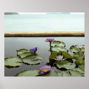 Water lilies in pond by ocean poster