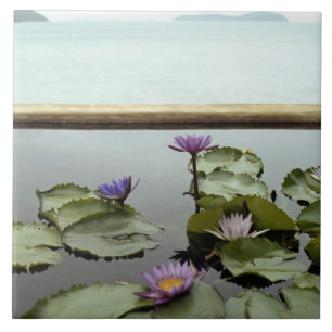 Water lilies in pond by ocean tile
