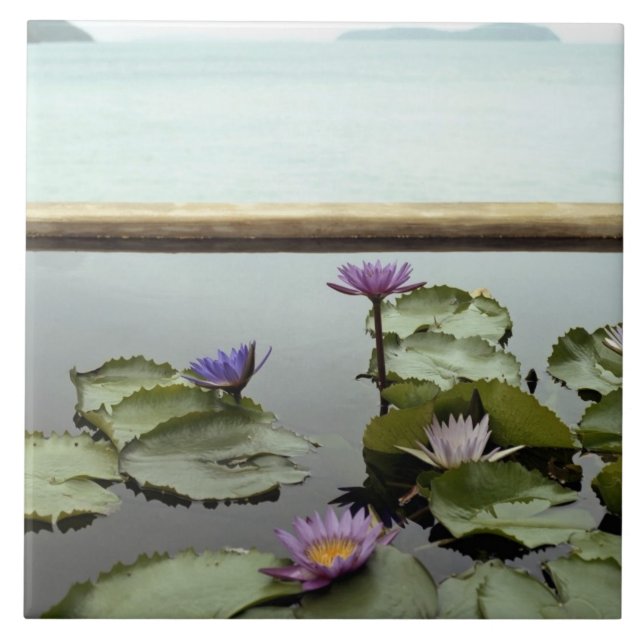 Water lilies in pond by ocean tile (Front)