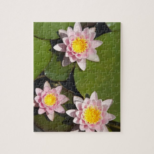 Water lilies jigsaw puzzle (Vertical)