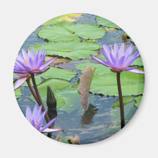 Water Lilies Magnet