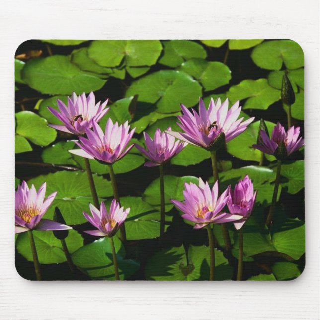 Water lilies mouse mat (Front)