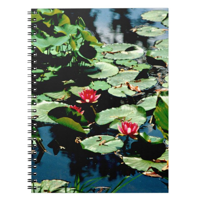 Water Lilies Notebook (Front)