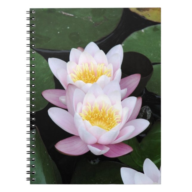 Water Lilies Notebook (Front)
