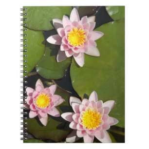 Water lilies notebook