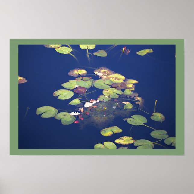 Water Lilies Photo Poster (Front)