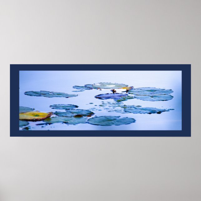 Water Lilies Photo Poster (Front)