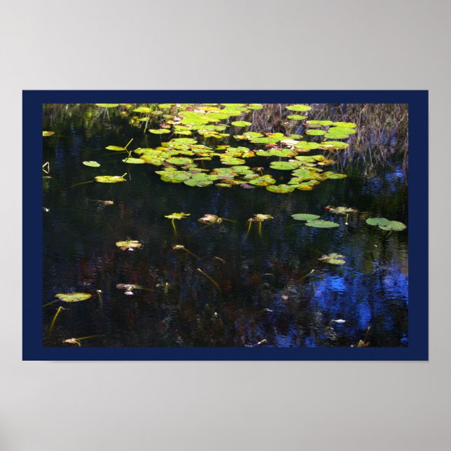 Water Lilies Photo Poster (Front)