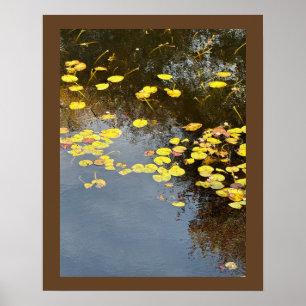 Water Lilies Photo Poster