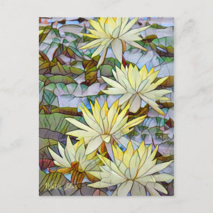 Water Lilies [Postcard] Postcard