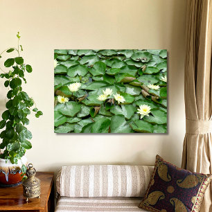 Water Lilies Poster