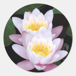 Water Lilies Round Sticker