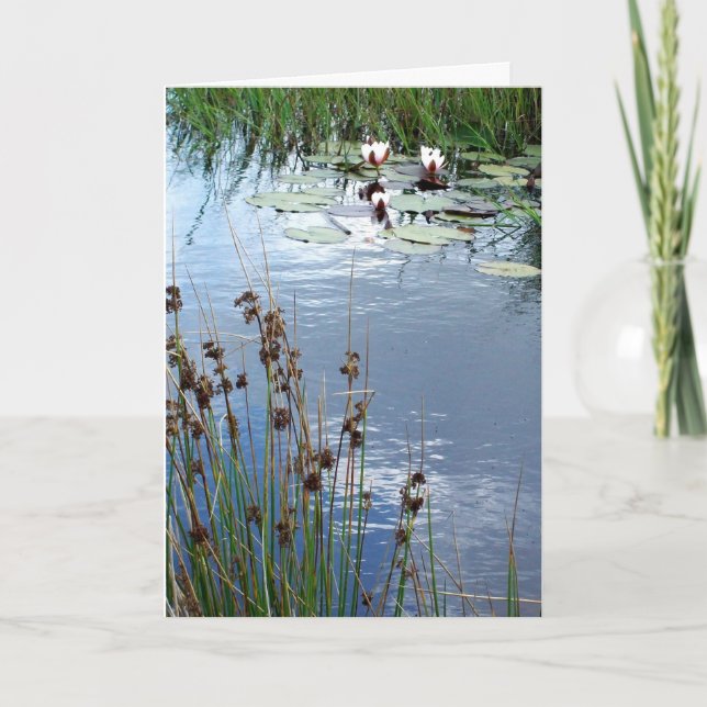 'Water Lilies' Sympathy Card (Front)