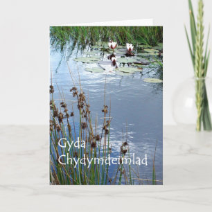 Water Lilies Sympathy Card - Welsh Greeting