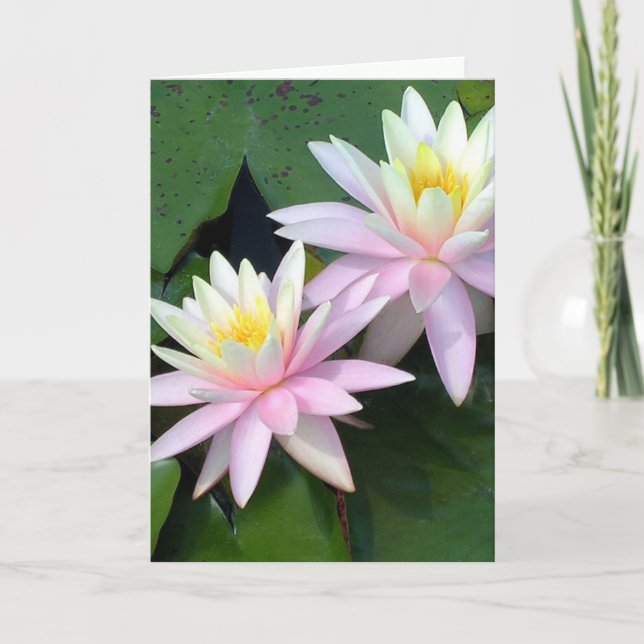 Water Lilies Thank You Card (Front)