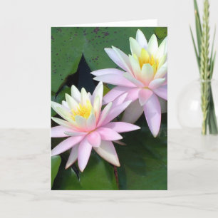Water Lilies Thank You Card