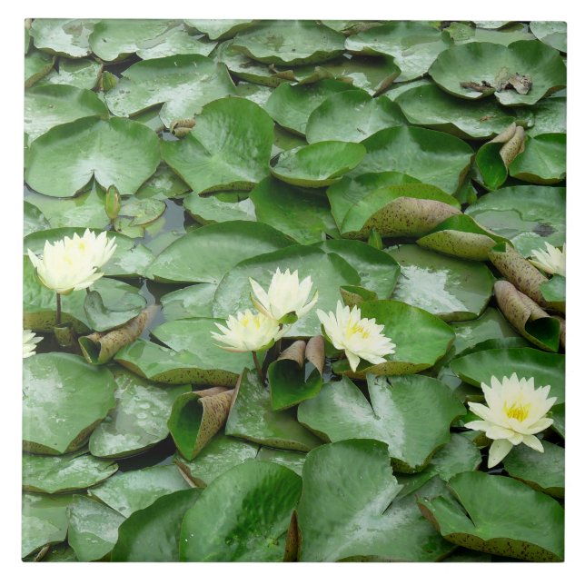 Water Lilies Tile (Front)