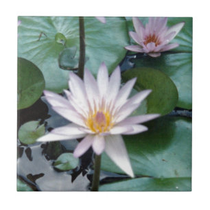 Water Lilies Tile