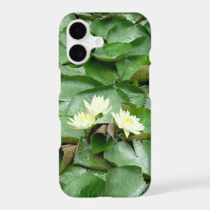 Water Lillies
