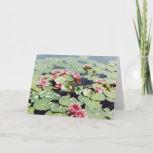 Water Lillies 01 Card