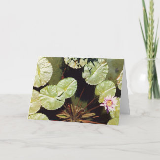 Water Lillies 02 Card