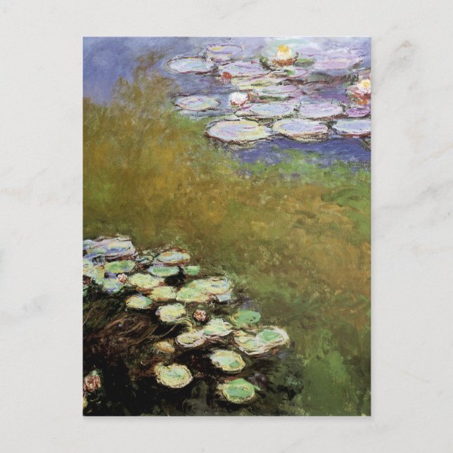 Water-Lillies, 1914-17 Postcard (Front)