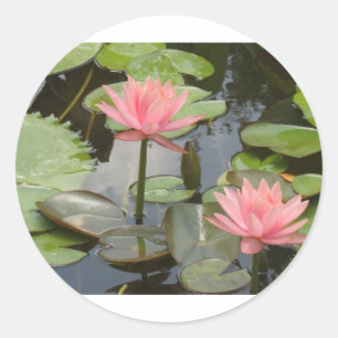 Water Lillies Classic Round Sticker